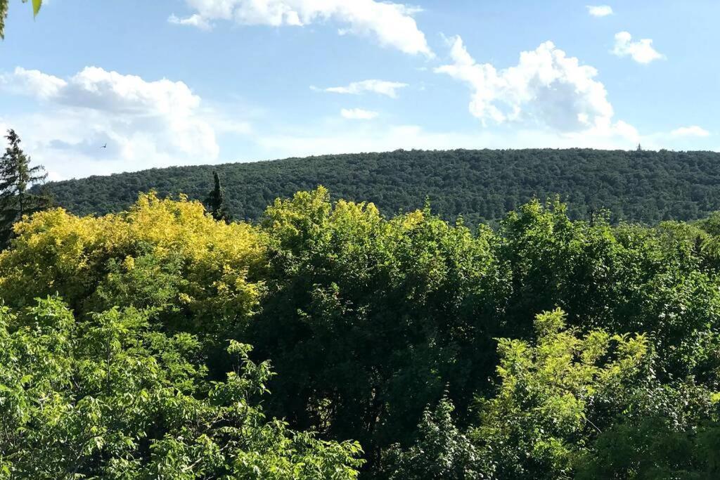 Balatonalmádi 'New' Sunkissed Villa On The Old Hill מראה חיצוני תמונה