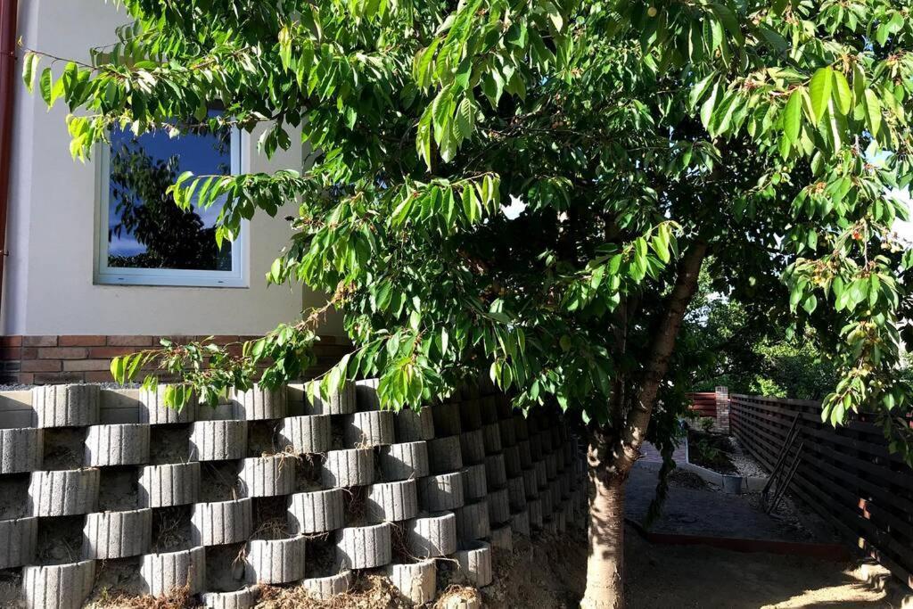 Balatonalmádi 'New' Sunkissed Villa On The Old Hill מראה חיצוני תמונה
