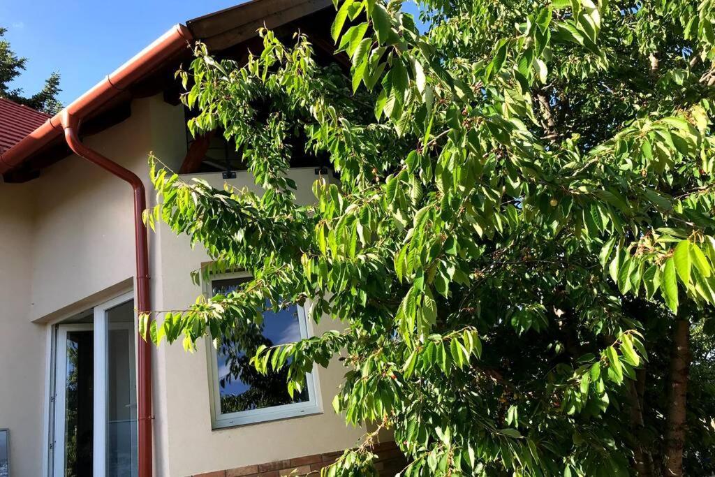 Balatonalmádi 'New' Sunkissed Villa On The Old Hill מראה חיצוני תמונה